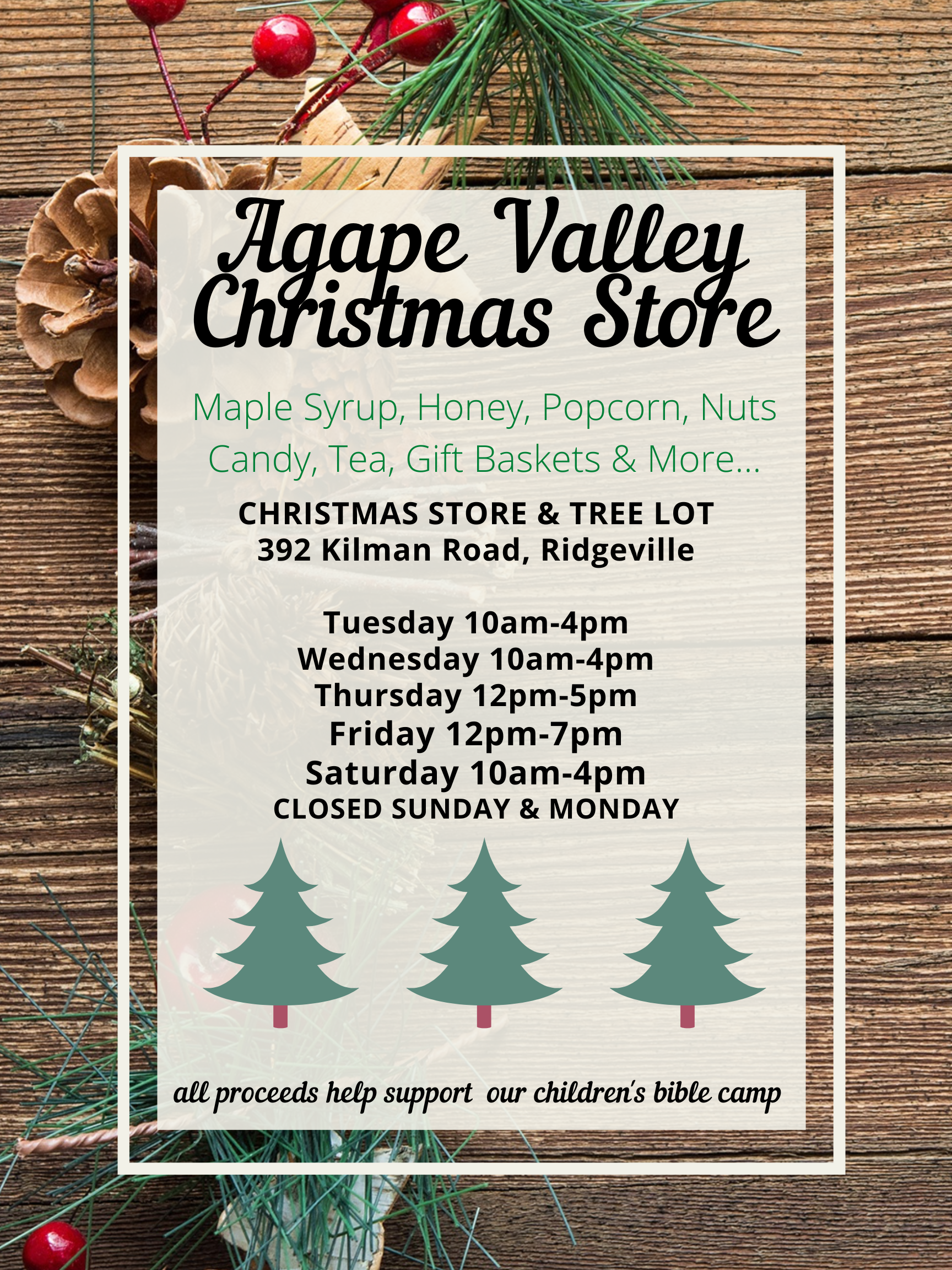 Christmas Store Niagara